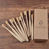 Eco Friendly wooden Tooth Brush - Crane Kick Brain